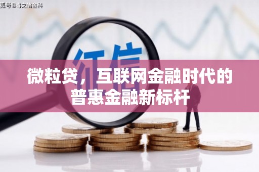 万里微粒贷，互联网金融时代的普惠金融新标杆