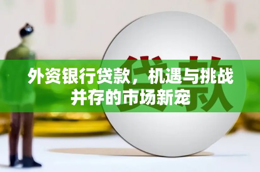 万里外资银行贷款，机遇与挑战并存的市场新宠