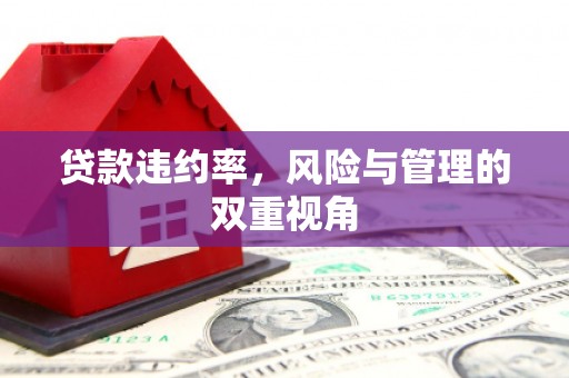 万里贷款违约率，风险与管理的双重视角