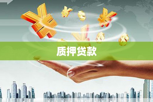 万里质押贷款