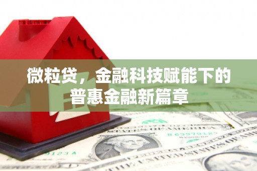 万里微粒贷，金融科技赋能下的普惠金融新篇章
