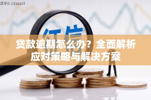 万里贷款逾期怎么办？全面解析应对策略与解决方案