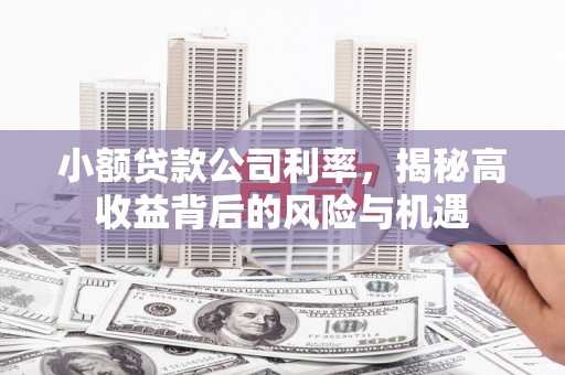 万里小额贷款公司利率，揭秘高收益背后的风险与机遇