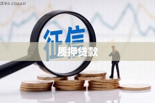 万里质押贷款