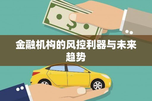 万里金融机构的风控利器与未来趋势