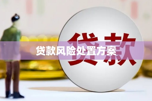 万里贷款风险处置方案