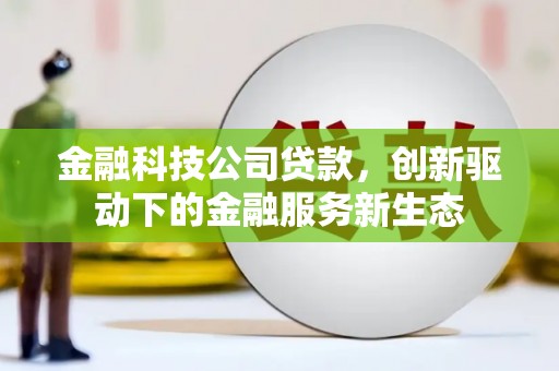 万里金融科技公司贷款，创新驱动下的金融服务新生态