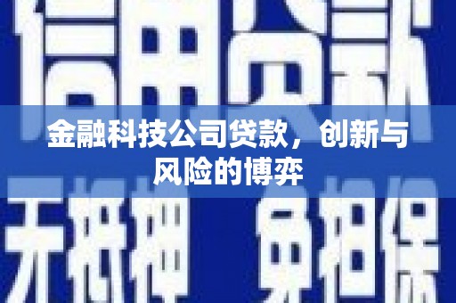 万里金融科技公司贷款，创新与风险的博弈