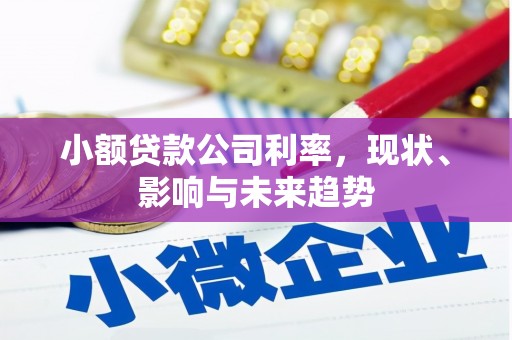 万里小额贷款公司利率，现状、影响与未来趋势
