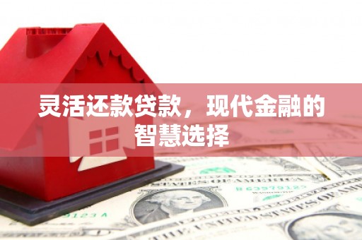 万里灵活还款贷款，现代金融的智慧选择
