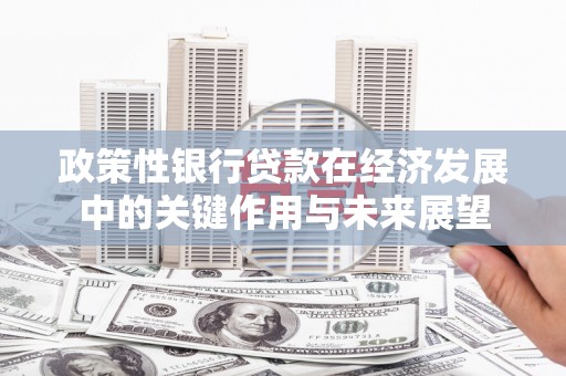 万里政策性银行贷款在经济发展中的关键作用与未来展望