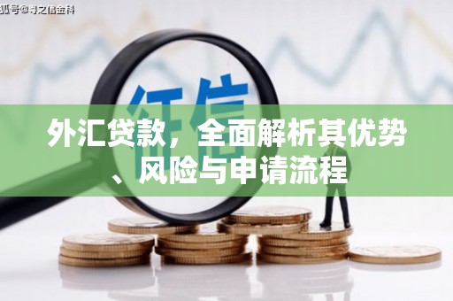 万里外汇贷款，全面解析其优势、风险与申请流程