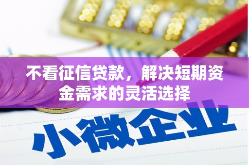 万里不看征信贷款，解决短期资金需求的灵活选择