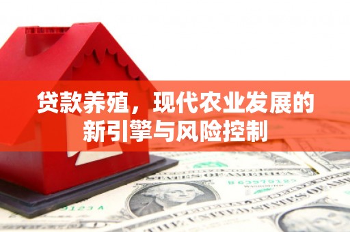 万里贷款养殖，现代农业发展的新引擎与风险控制