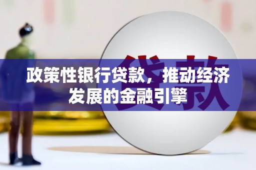 万里政策性银行贷款，推动经济发展的金融引擎