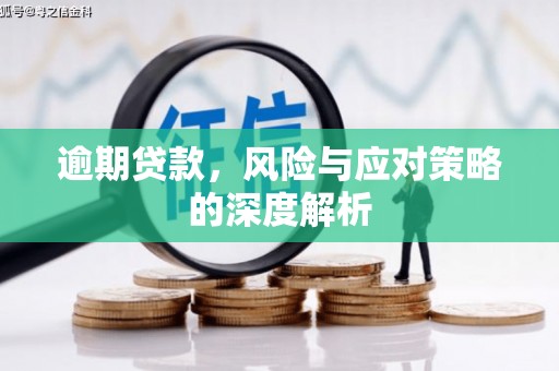 万里逾期贷款，风险与应对策略的深度解析