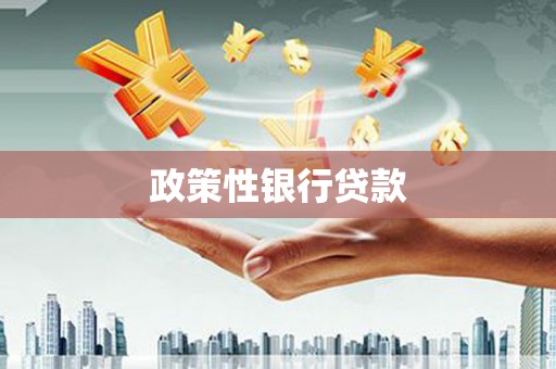 万里政策性银行贷款