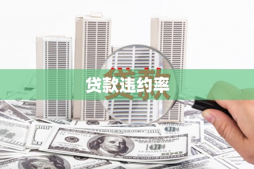 万里贷款违约率