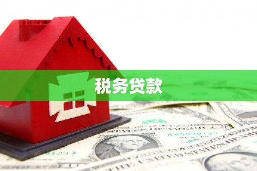 万里税务贷款