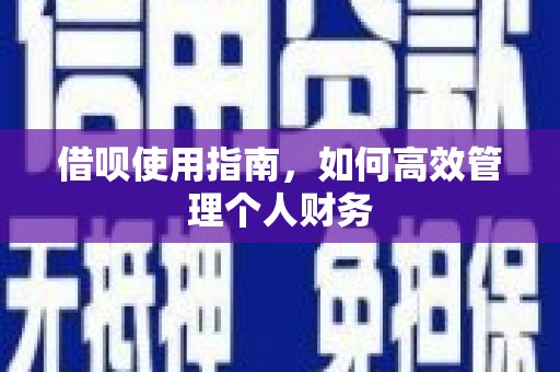 万里借呗使用指南，如何高效管理个人财务