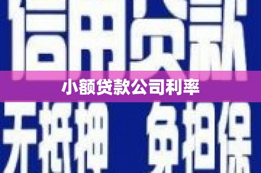 万里小额贷款公司利率