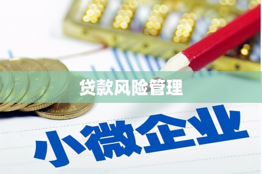 万里贷款风险管理