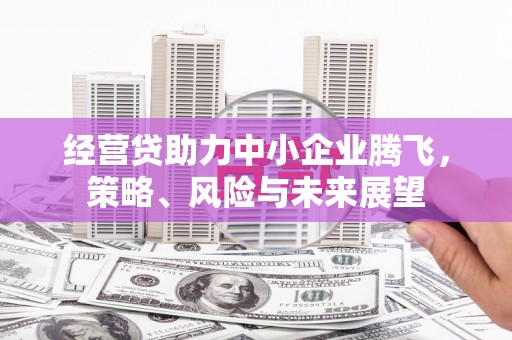 万里经营贷助力中小企业腾飞，策略、风险与未来展望