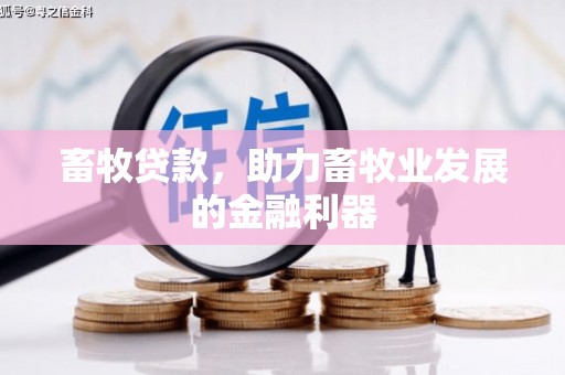 万里畜牧贷款，助力畜牧业发展的金融利器