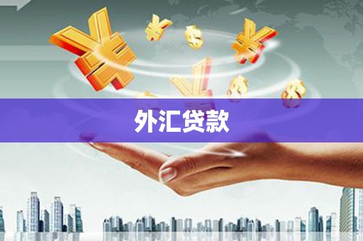 万里外汇贷款