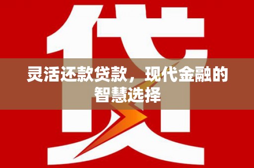 万里灵活还款贷款，现代金融的智慧选择