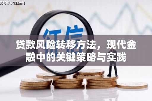万里贷款风险转移方法，现代金融中的关键策略与实践