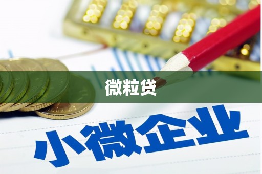 万里微粒贷