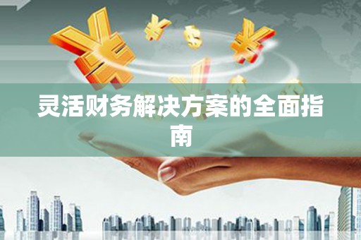 万里灵活财务解决方案的全面指南