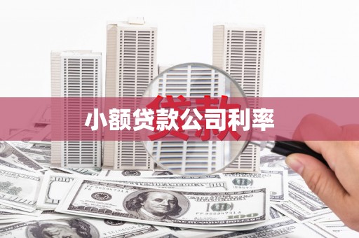万里小额贷款公司利率