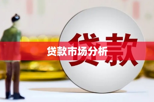 万里贷款市场分析