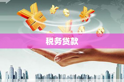 万里税务贷款