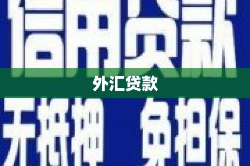 万里外汇贷款