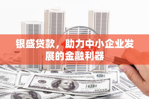 万里银盛贷款，助力中小企业发展的金融利器