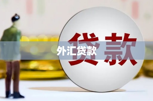 万里外汇贷款