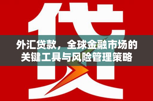 万里外汇贷款，全球金融市场的关键工具与风险管理策略
