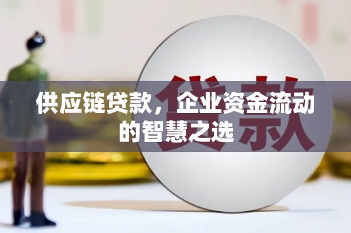 万里供应链贷款，企业资金流动的智慧之选