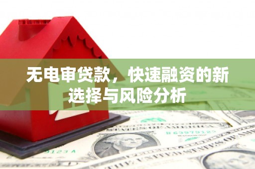 万里无电审贷款，快速融资的新选择与风险分析