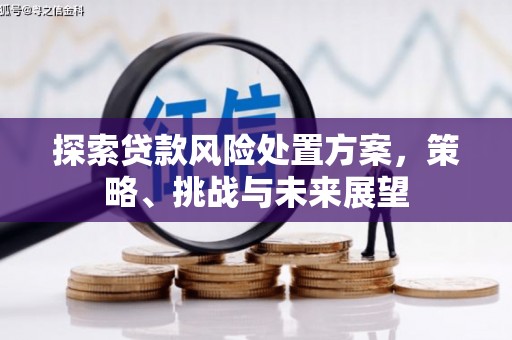 万里探索贷款风险处置方案，策略、挑战与未来展望