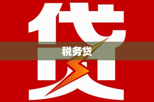 万里税务贷