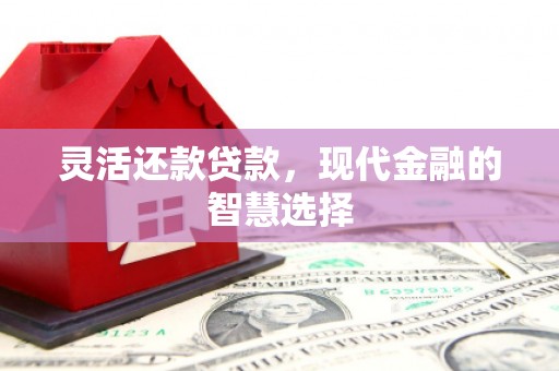 万里灵活还款贷款，现代金融的智慧选择