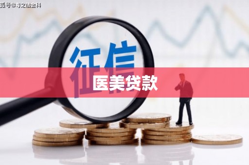 万里医美贷款