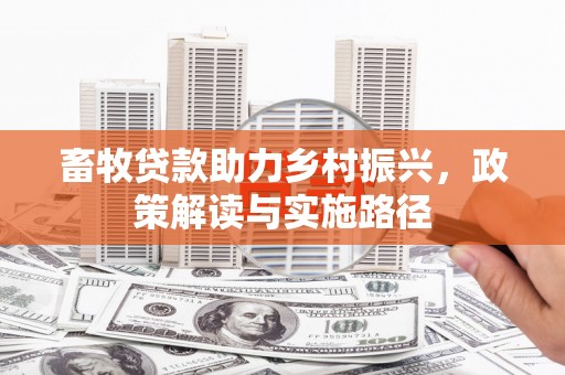 万里畜牧贷款助力乡村振兴，政策解读与实施路径
