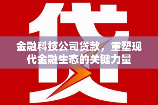 万里金融科技公司贷款，重塑现代金融生态的关键力量
