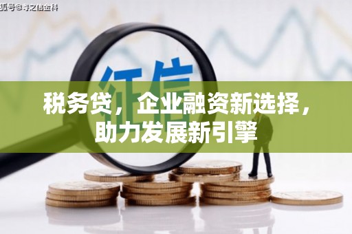 万里税务贷，企业融资新选择，助力发展新引擎