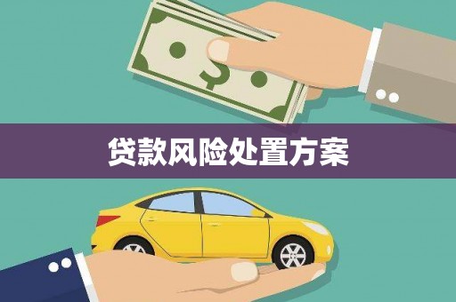 万里贷款风险处置方案